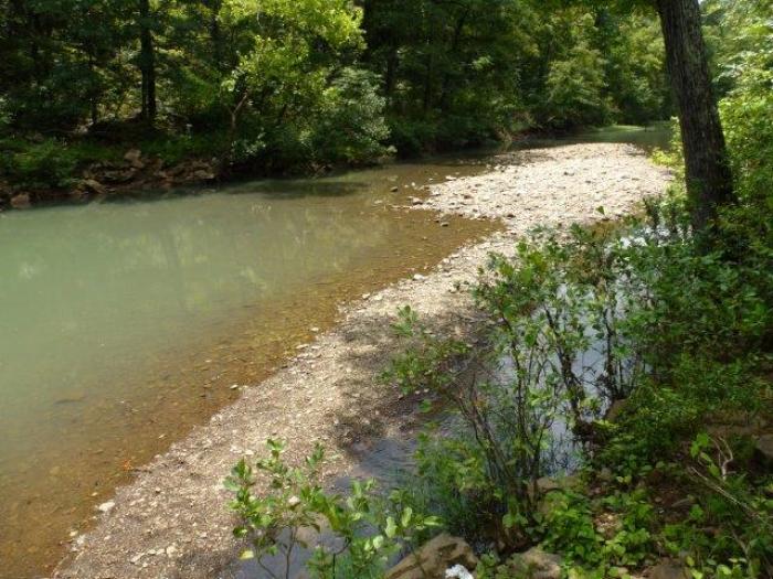 Summer Gardening in the Ozarks - FineGardening