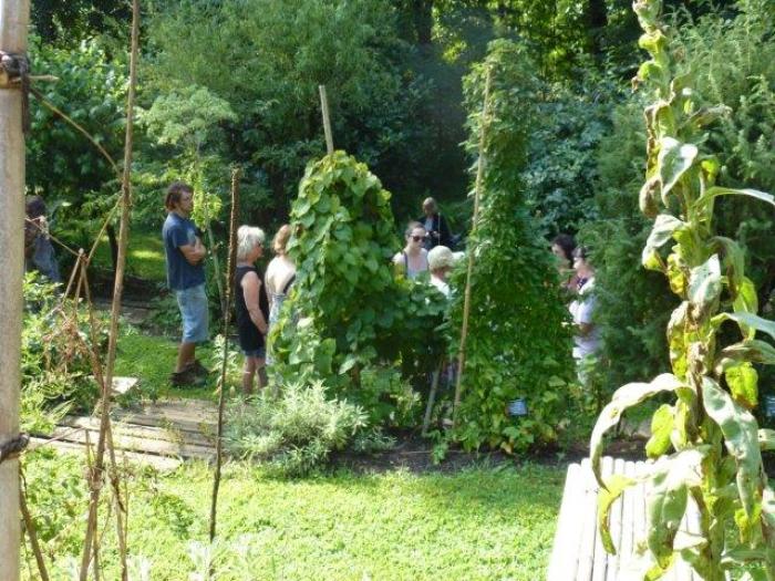 The Green Farmacy Garden - FineGardening