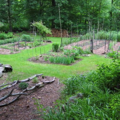 9 Reasons to Start a Vegetable Garden - FineGardening