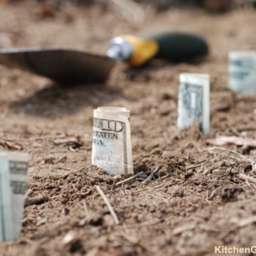 What's a Garden Worth? Fine Gardening