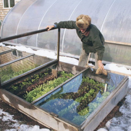 Grow Vegetables All YearLong With Cold Frames FineGardening