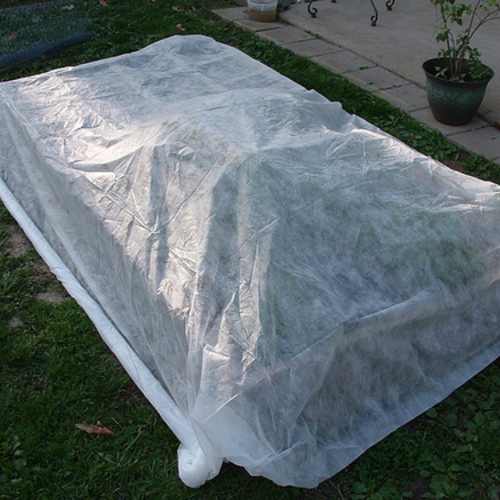 How to Protect Your Garden Plants From Frost Fine Gardening