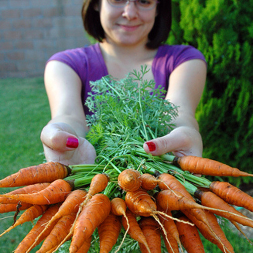 Crop Rotation Technique #2: Rotating for Soil Fertility - Fine Gardening