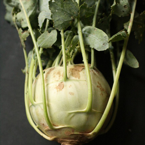 Grow Food in Your Landscape - Fine Gardening