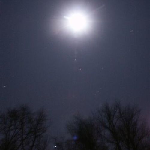 Winter Solstice Full Cold Moon Lunar Eclipse! FineGardening