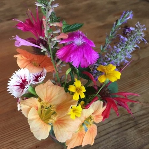 50 Flowers That Are Safe to Eat FineGardening