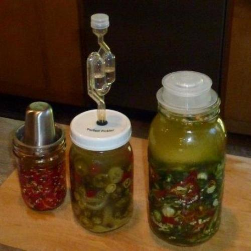 More on Fermenting Chiles - Fine Gardening