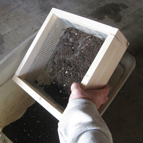 DIY Soil Sifter Fine Gardening