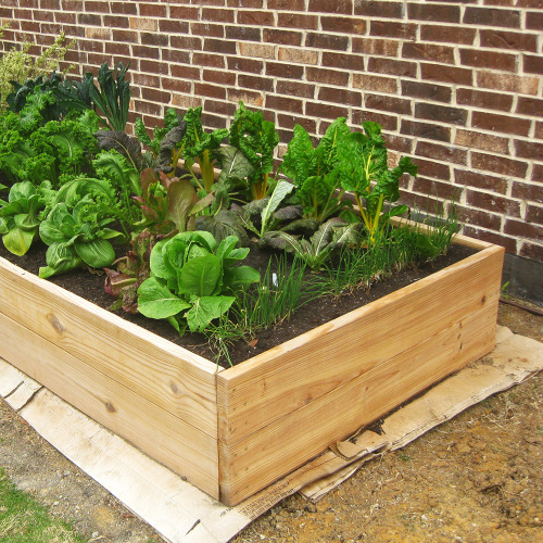 Raised Bed Installation & Building Tips Fine Gardening