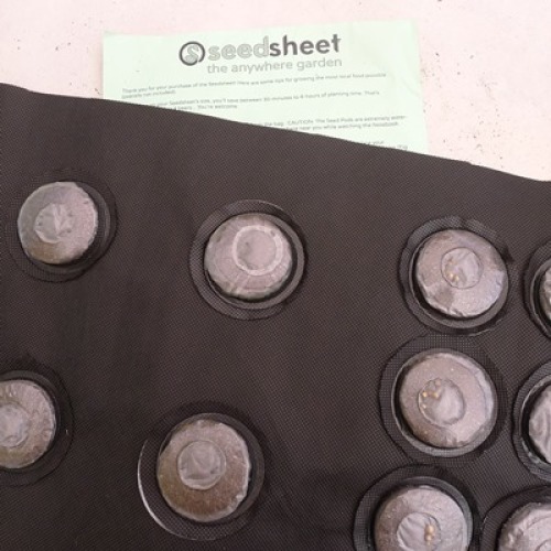 Beginning Gardeners will Love the Seedsheet - Fine Gardening