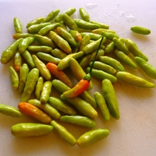 How To Make Hot Pepper Sauce FineGardening