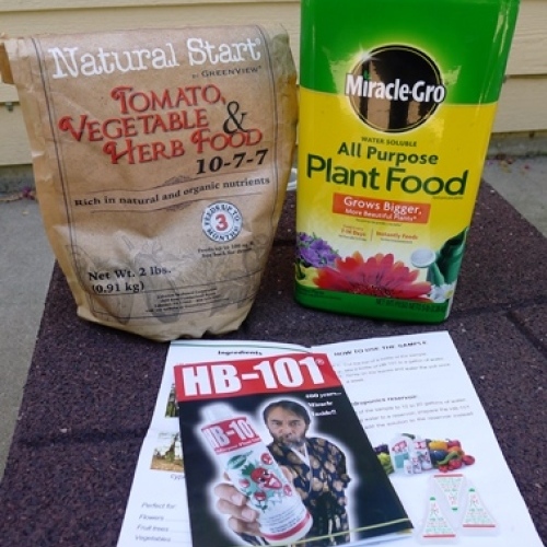 Measuring the Miracle in Miracle Plant Foods Fine Gardening