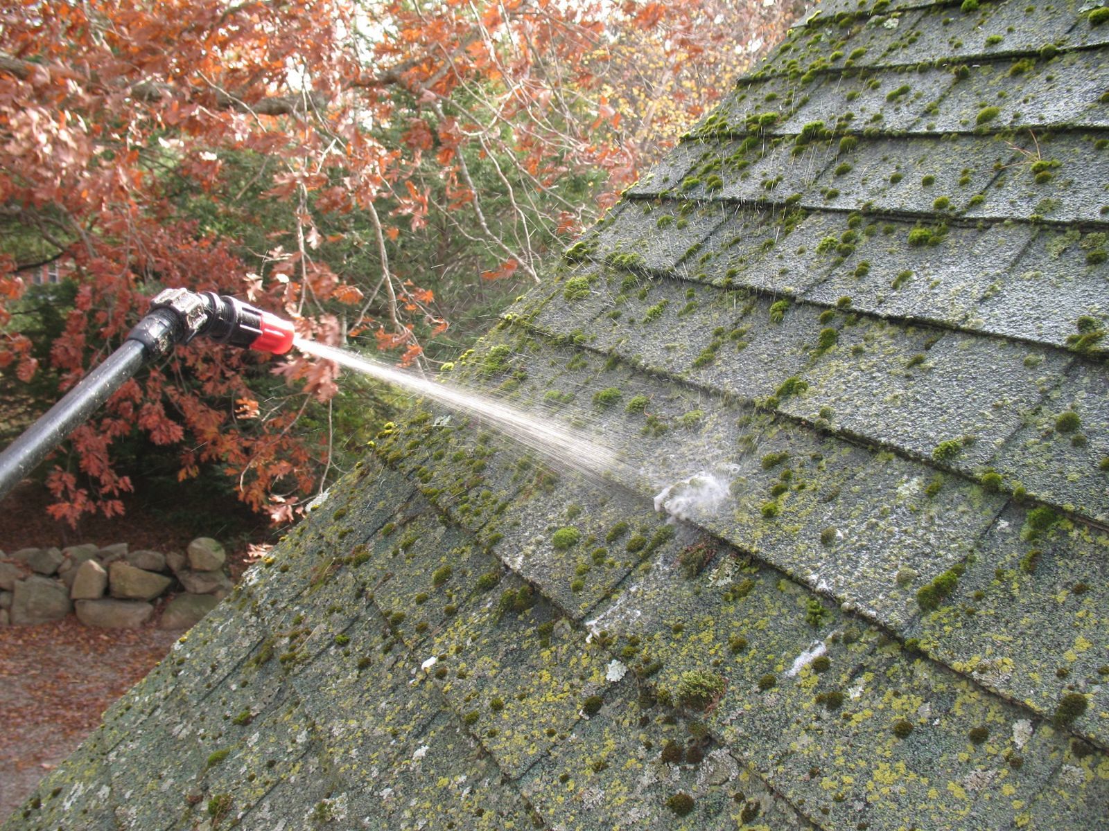 How to Remove Lichen and Moss from Your Roof Fine Homebuilding