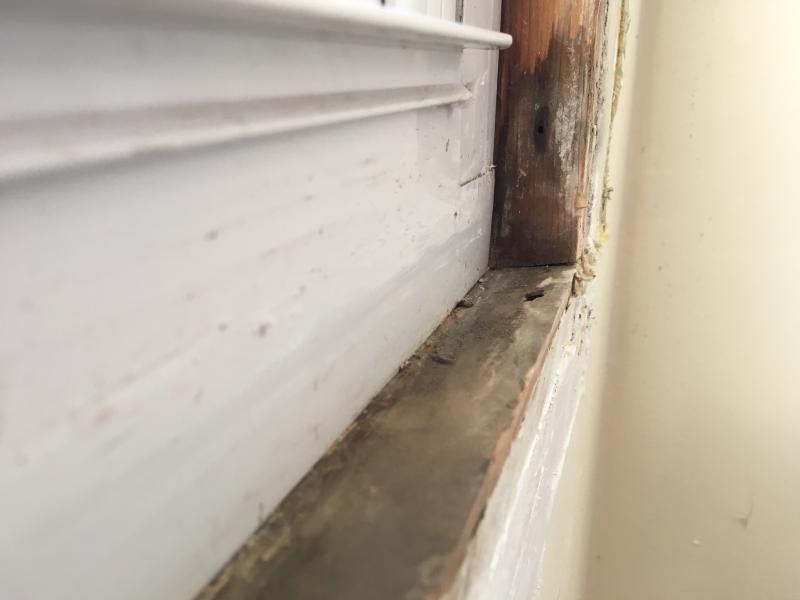 redoing jamb extension and casing on window but bottom jamb is wet