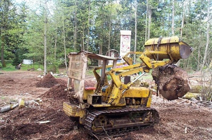 How much to fell this tree? - Fine Homebuilding