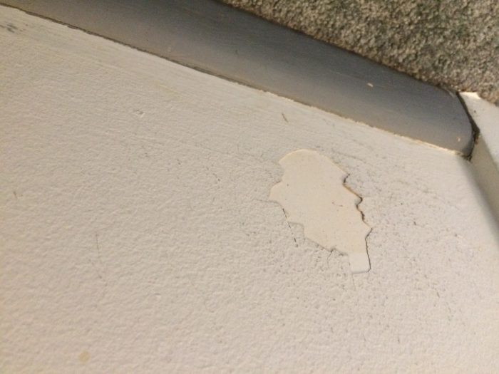 Fixing bubbling plaster (or is it paint?) on vintage sheetrock ceiling