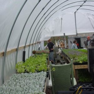 Hooping It Up Fine Homebuilding