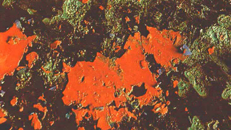 cpsc table saw rules: emotion vs. numbers popular