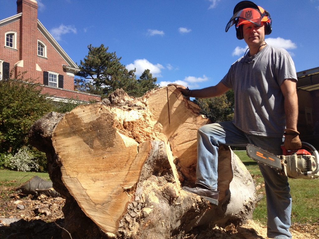 Does The Tree In My Front Yard Have Value? Part One: No and Yes