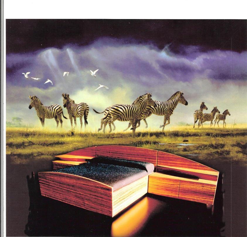 Zebrawood Bed FineWoodworking