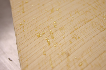 How To Set Wood Sap Finewoodworking