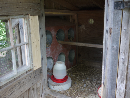 Free Plan Build a Rustic Chicken Coop - FineWoodworking