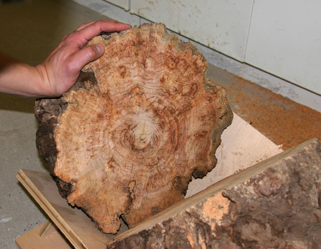 Turning My First Green Bowl FineWoodworking