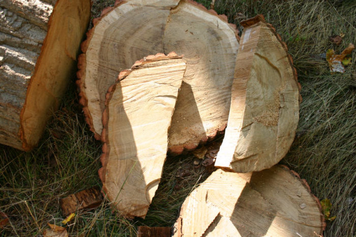 Is This Walnut Finewoodworking