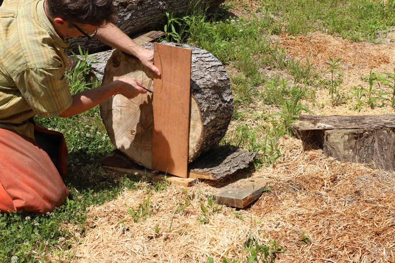 How to chainsaw a bowl blank from a tree FineWoodworking