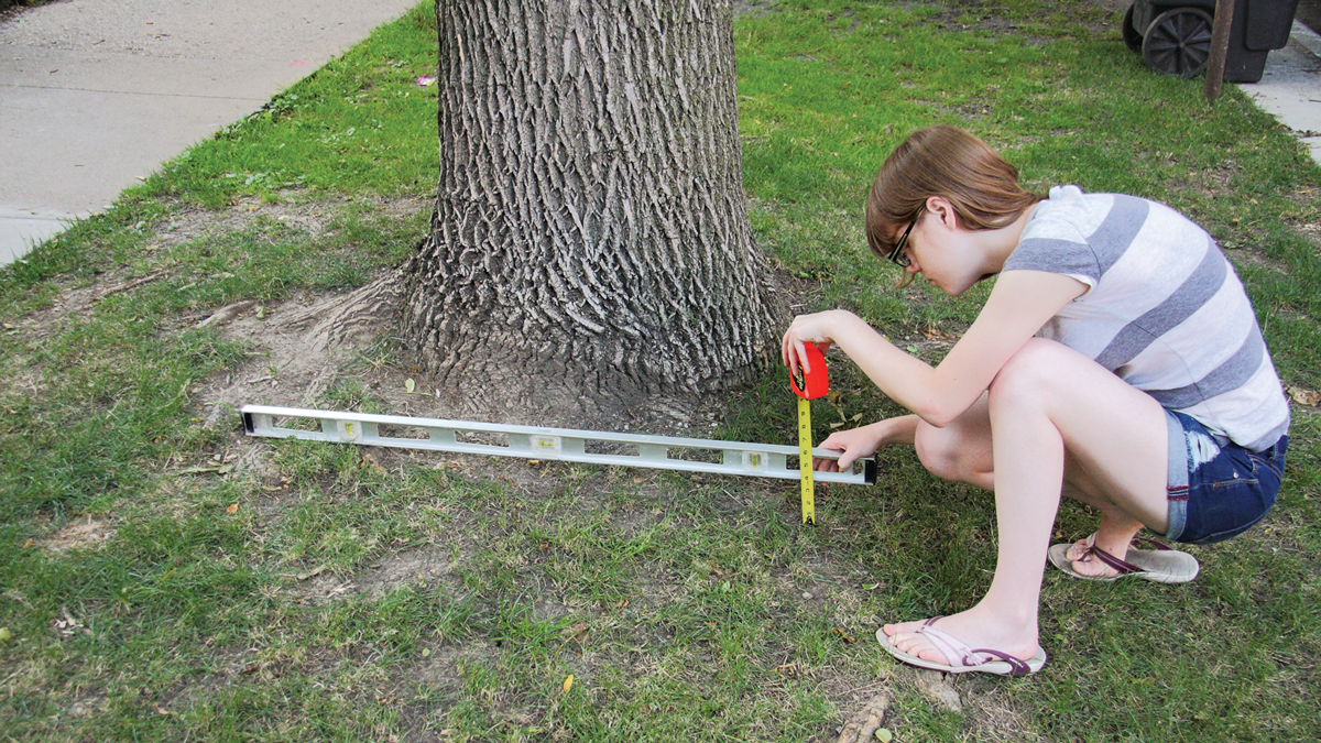 Use a level and a tape measure to measure the ground's slope around your tree.