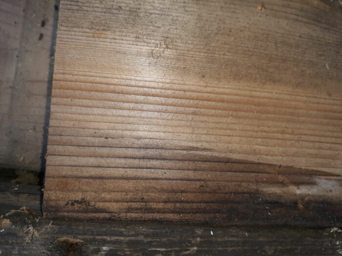 Cedar or Pressure treated Pine? FineWoodworking