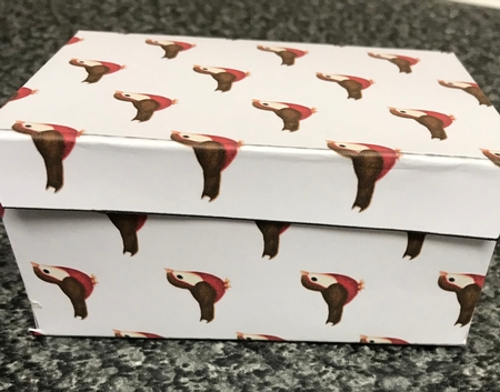 robin with red breast backing paper - CUP918831_415 | Craftsuprint