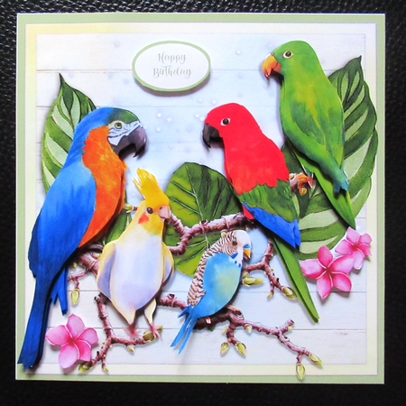 TROPICAL BIRDS - CUP1138724_57683 | Craftsuprint