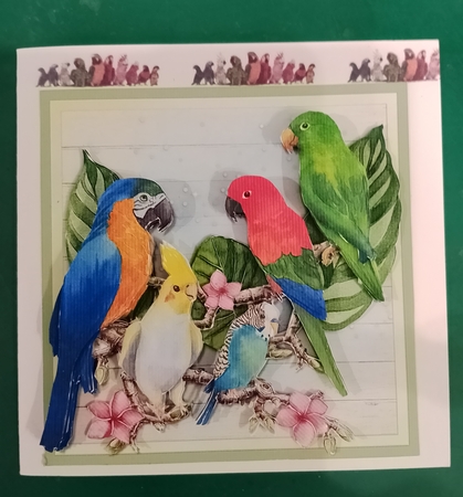 TROPICAL BIRDS - CUP1138724_57683 | Craftsuprint