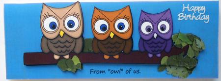 Birthday Retirement "from Owl of Us" - CUP414570_107 | Craftsuprint