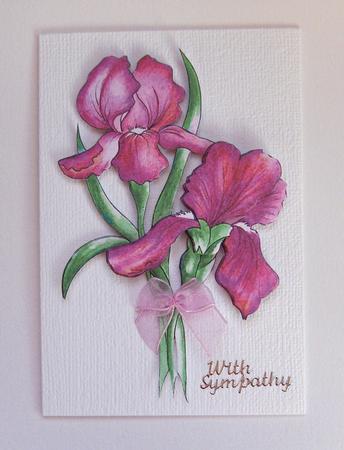 Watercolour Pink Irises Decoupage Sheet - CUP398419_117 | Craftsuprint