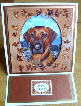Oscar Rhodesian Ridgeback Puppy Dog Frame Card Sentiments - CUP194382 ...