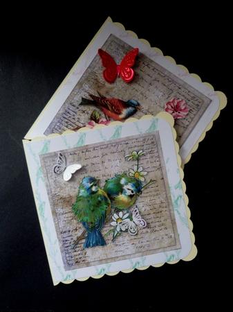 Birds 1 - Set of 12 Backing Papers - CUP536452_66 | Craftsuprint