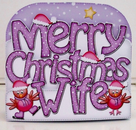 Merry Christmas Wife Robin Pop Out Xmas Word Card - Photo by Pam Stubley