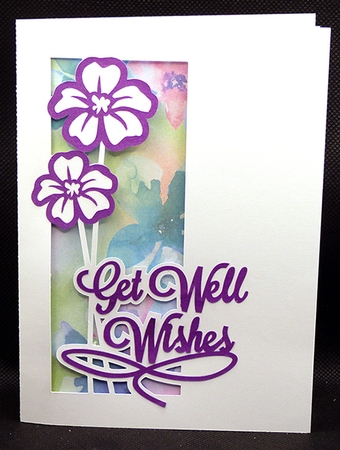 Flower Get Well Card with Backing Paper - Photo by Shirley Young