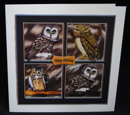 Owl Birthday or Retirement - CUP963635_2606 | Craftsuprint