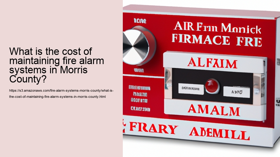 What is the cost of maintaining fire alarm systems in Morris County?  