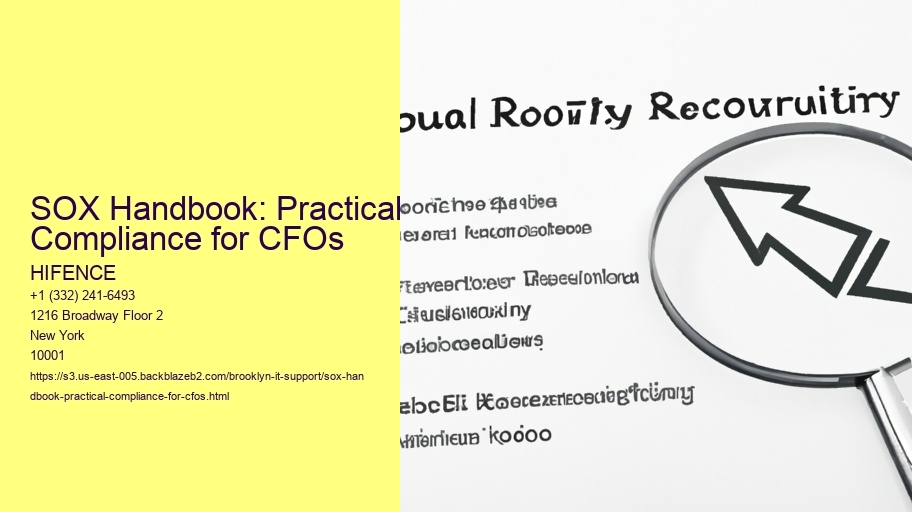SOX Handbook: Practical Compliance for CFOs