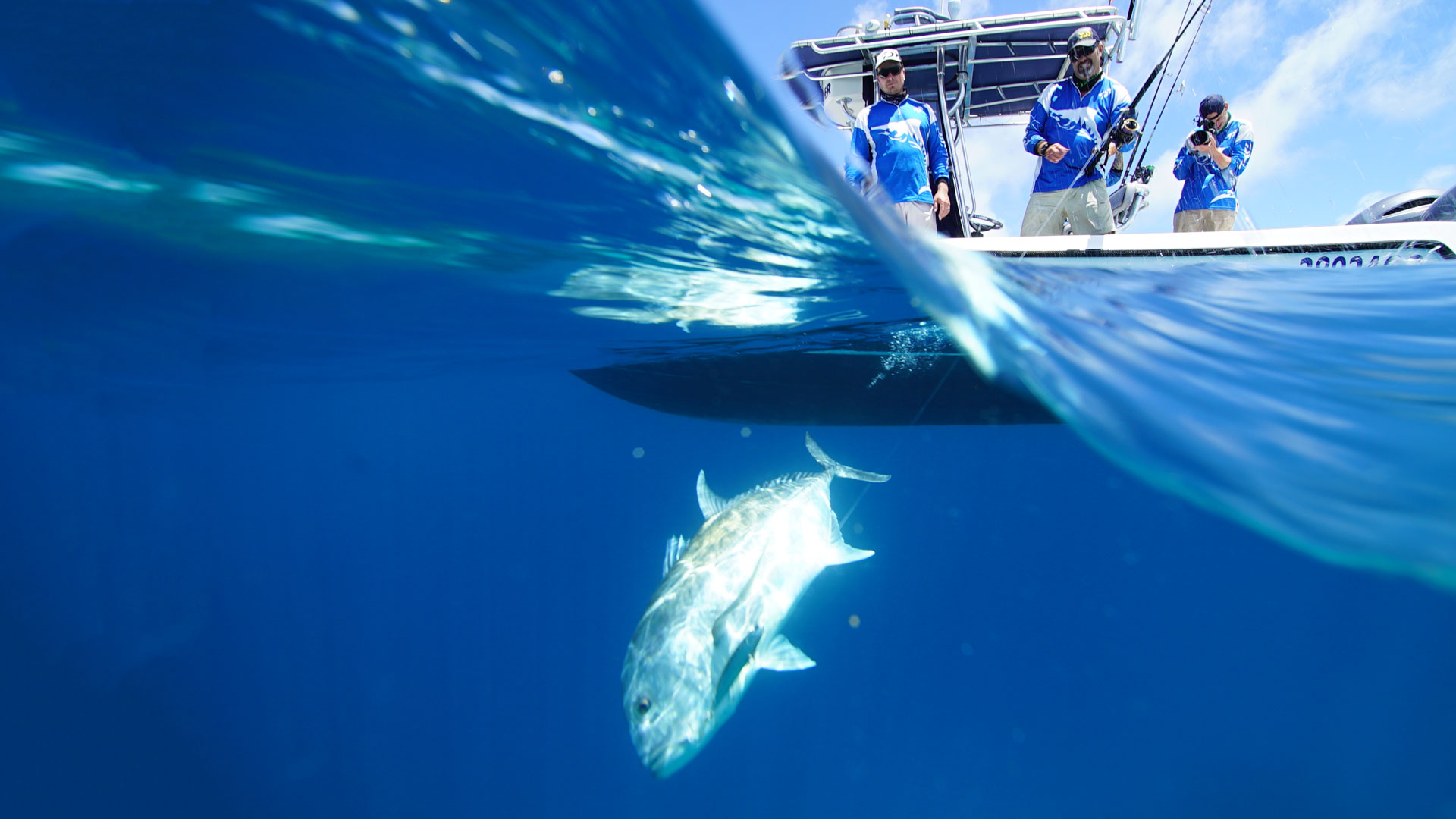 Mark Bergs Fishing Addiction