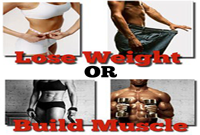 Free newsletter and body transformation kit