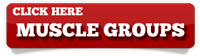 click here for free muscle building reports