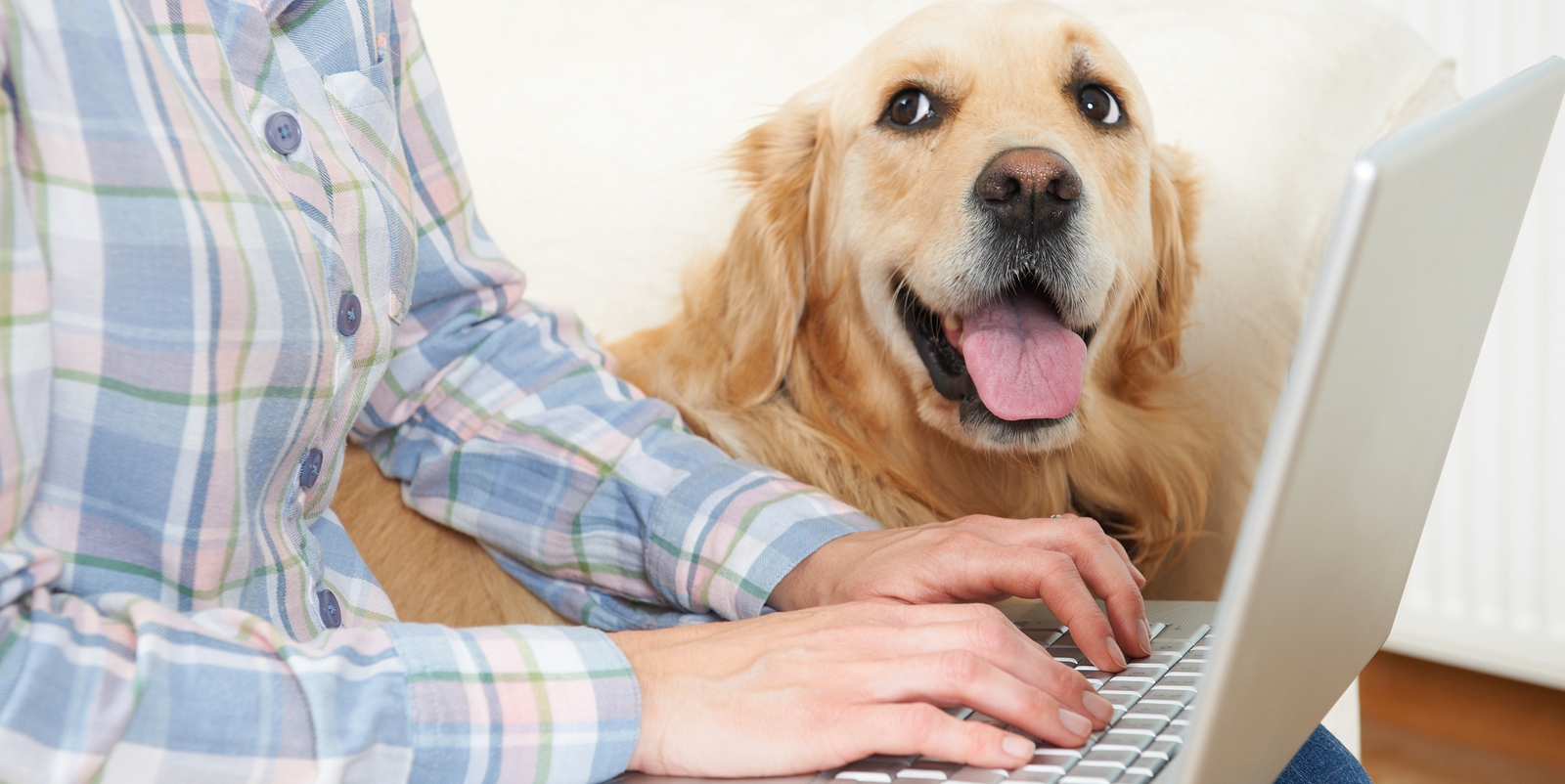 Celebrate Take Your Dog (and Other Pets) to Work Day! FlexJobs