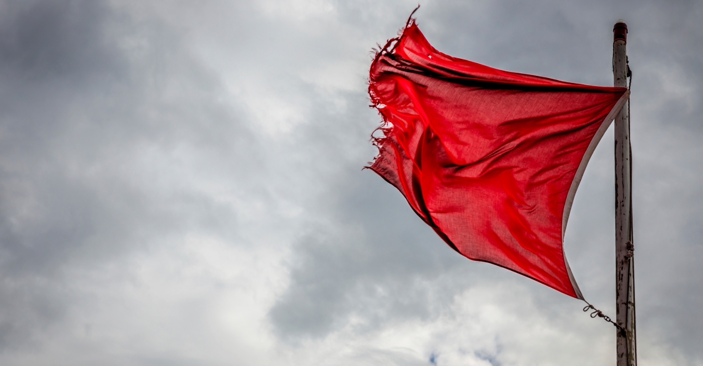 Biggest Red Flags in Job Seeker Social Media Profiles FlexJobs