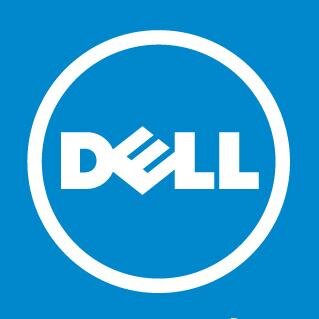 dell logo solid color