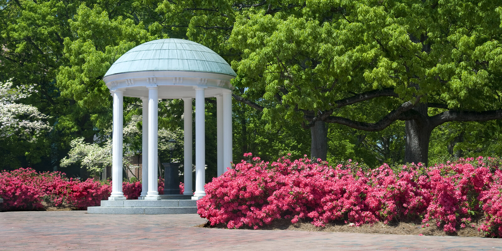 6 Remote Jobs in Chapel Hill, NC—A Popular Place for Working from Home